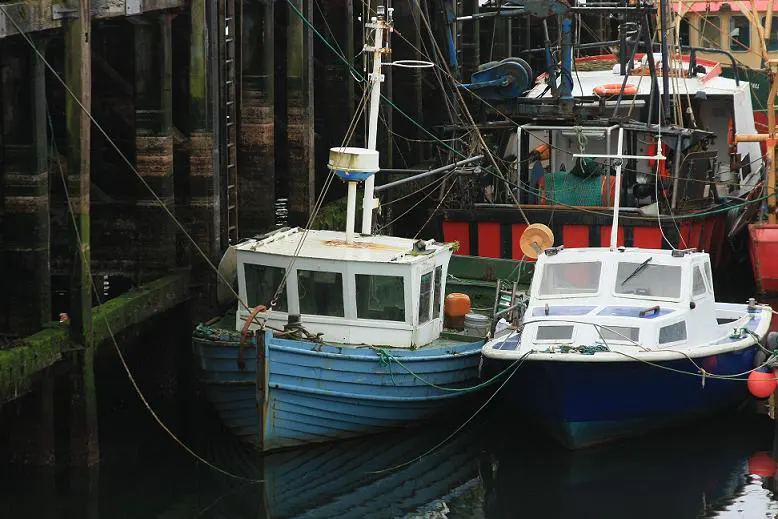 mniejsze_kutry mniejsze_kutry