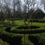 Millennium_Gardens_Birr