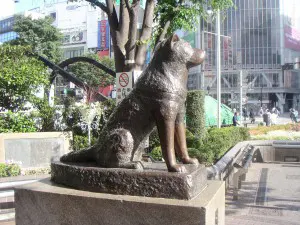 hachiko_pomnik