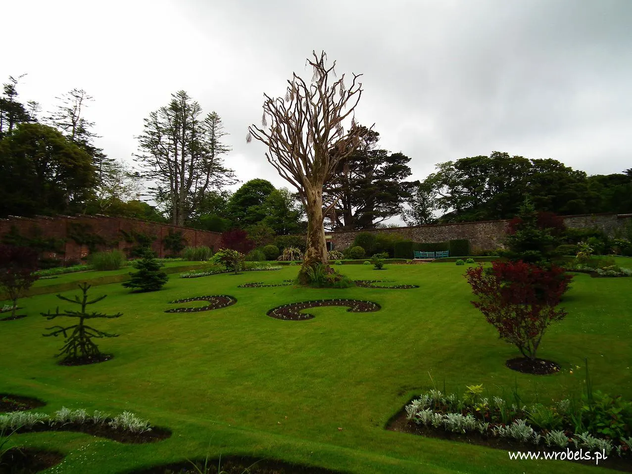 Walled Garden Tree KA