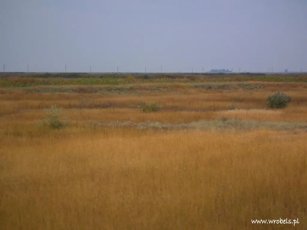 Wielka Ukraina - w promieniu wielu kilometrów nie było ani drzew, ani domów, ani ludzi...