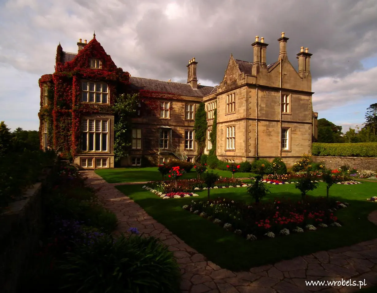 Dom Muckross, Killarney