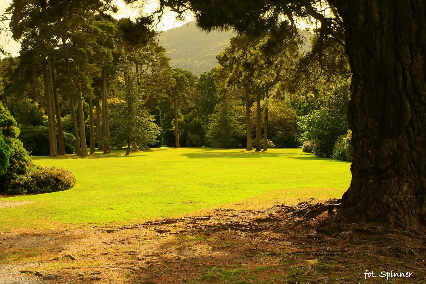 Muckross Gardens