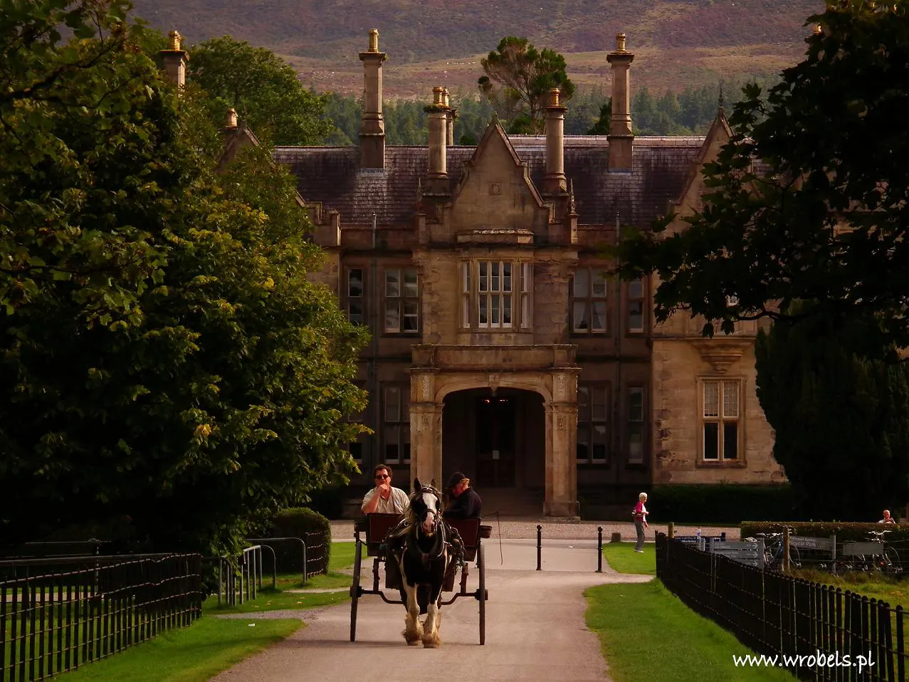 Muckross House, Horse