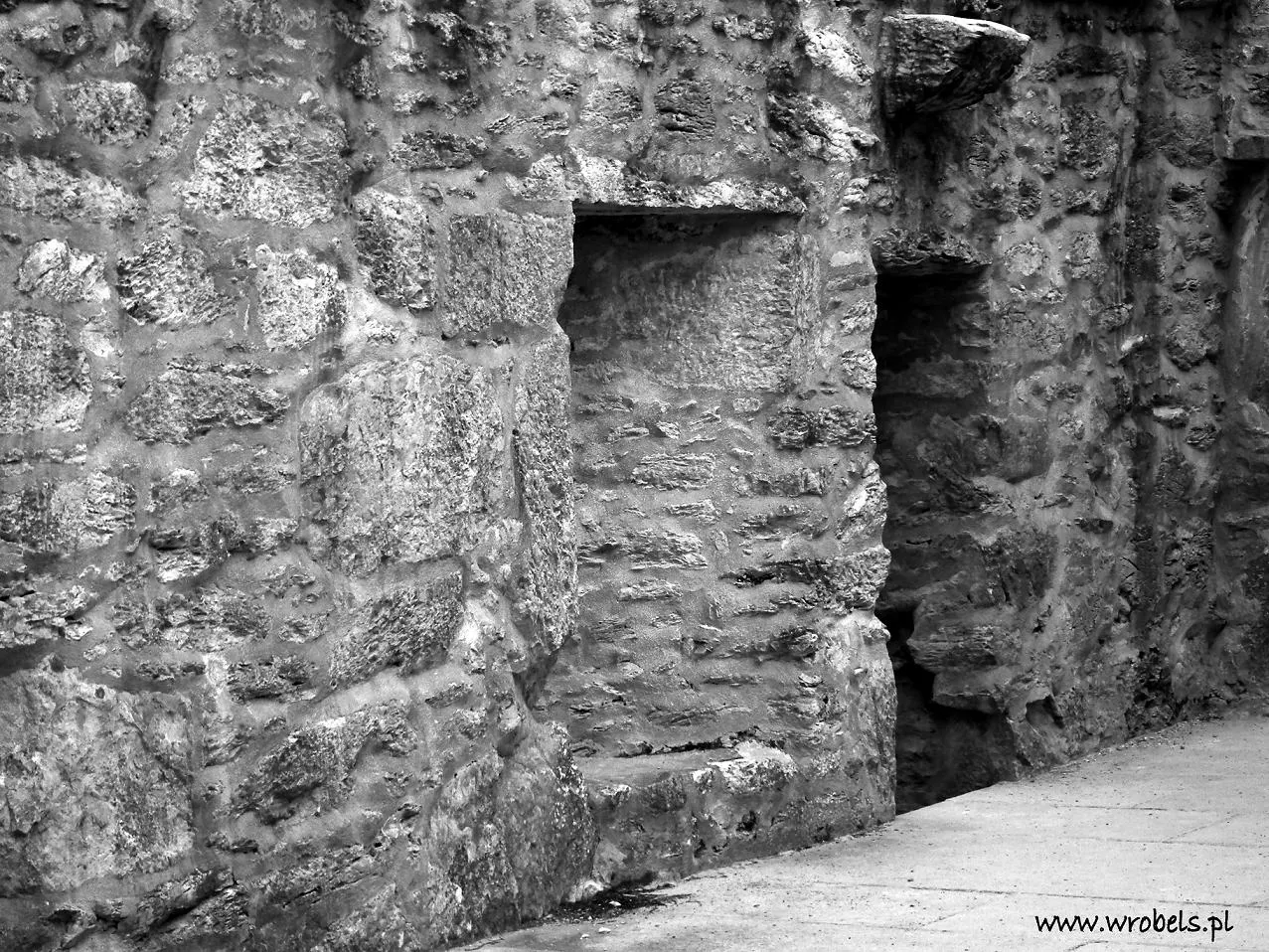 Old Abbey Wall, Muckross