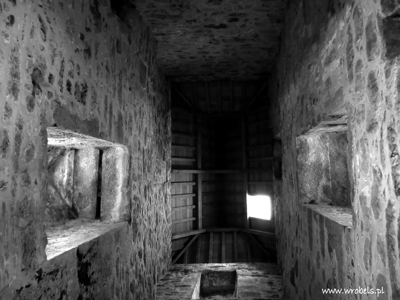 Vault Muckross Abbey