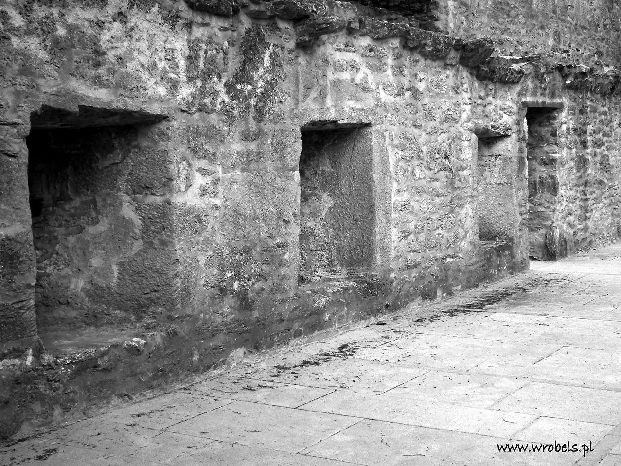 Windows and Door, Muckross Abbey