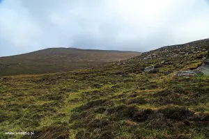 Początek nieoznakowanego szlaku.