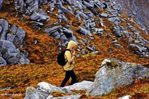 Skały, skały, zewsząd skały.