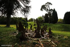 Belleek Castle w oddali